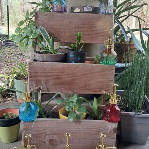 Elegant Glass Plant Mister Set with Gold Accents